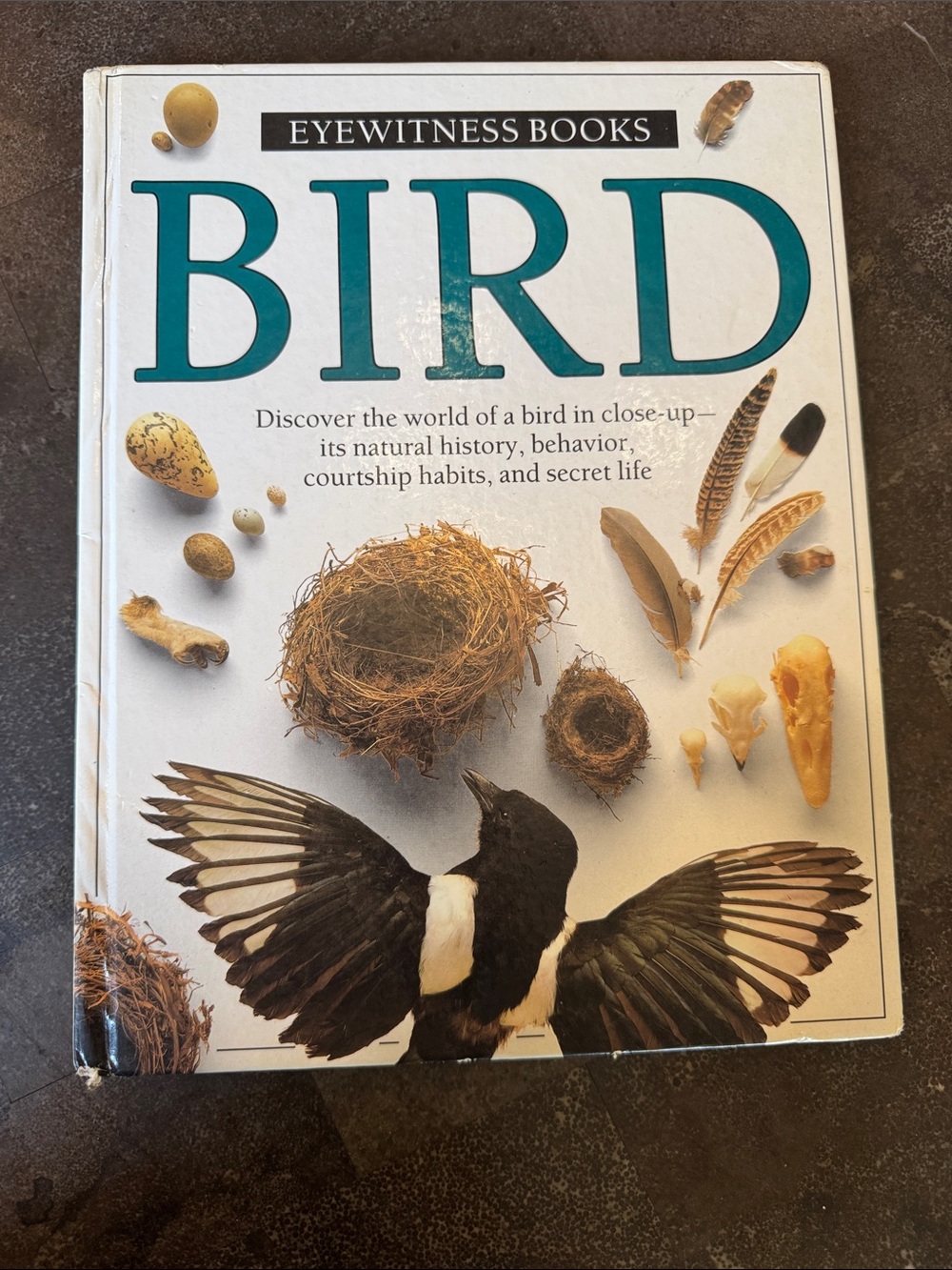 Eyewitness Books BIRD book